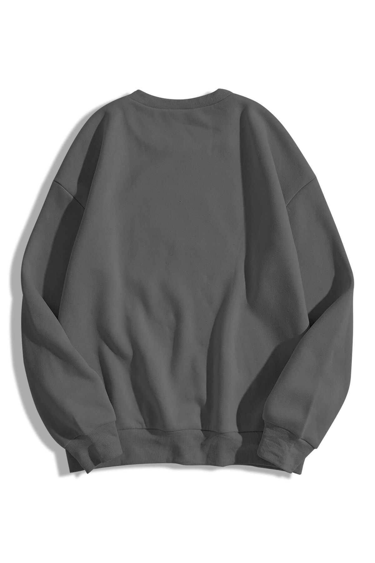 Trendiz Unisex Basic Bisiklet Yaka Sweatshirt Hoodie