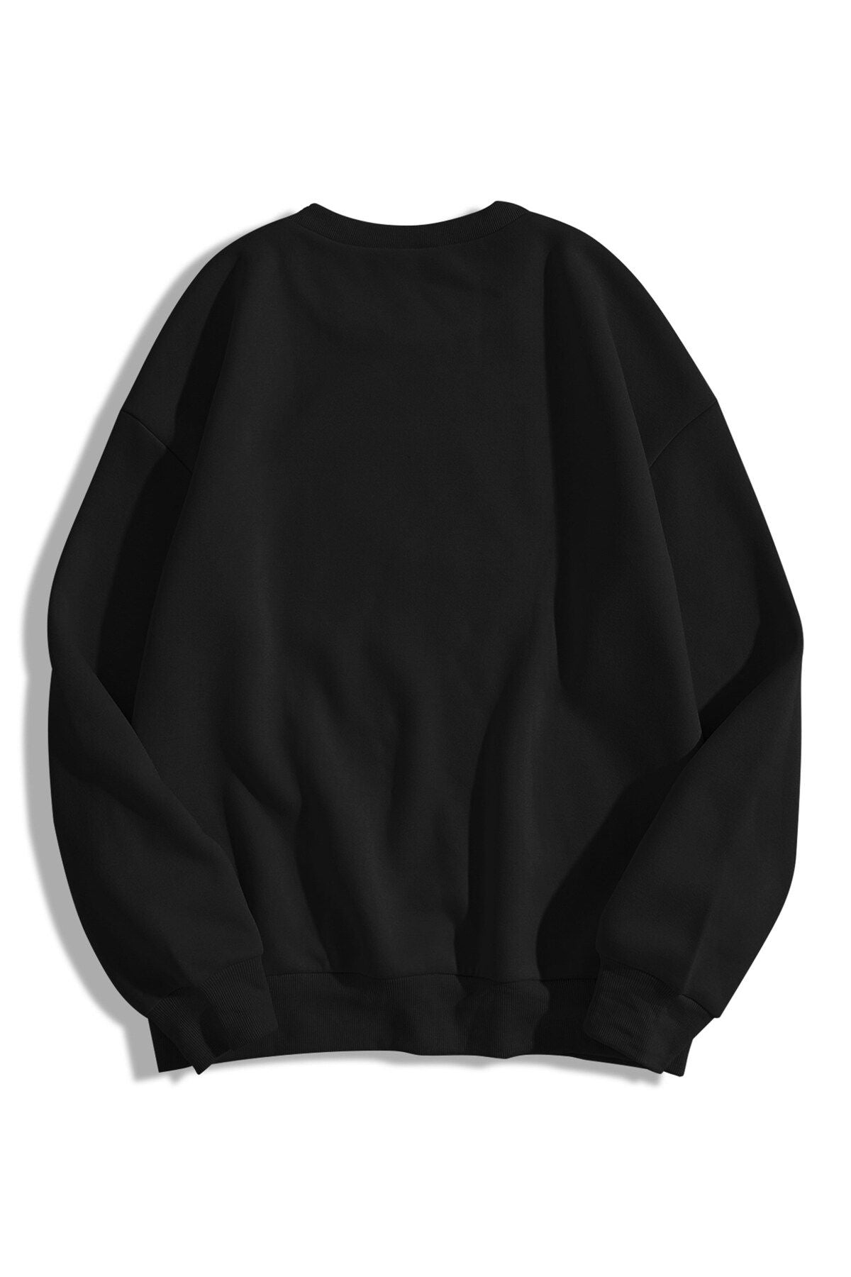 Trendiz Unisex Basic Bisiklet Yaka Sweatshirt Hoodie